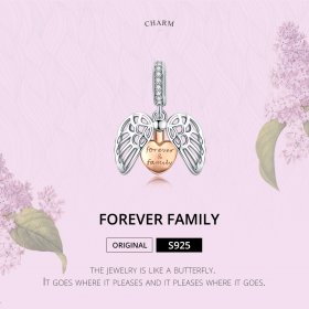 Pandora Compatible Silver & Rose Gold Forever & Family Dangle - SCC1299