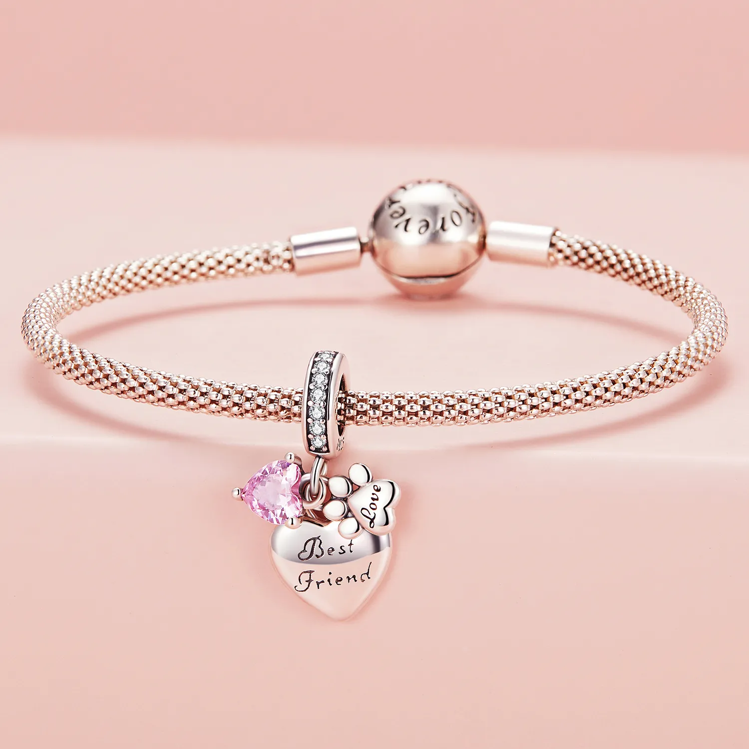 Forever Friends Charm in Pandora Style - SCC2436