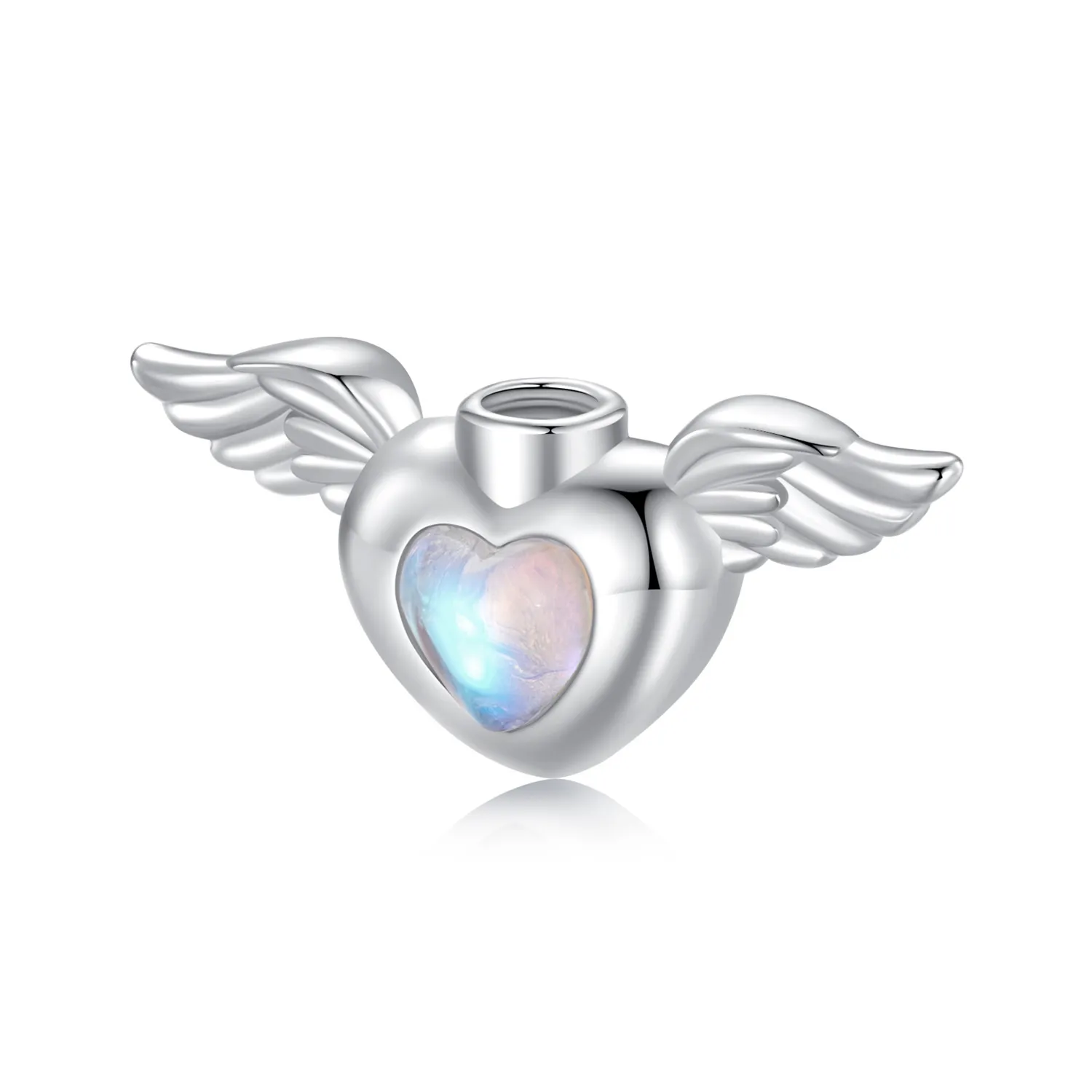 PANDORA Style Pet urn memorial box pendant - BSC1036