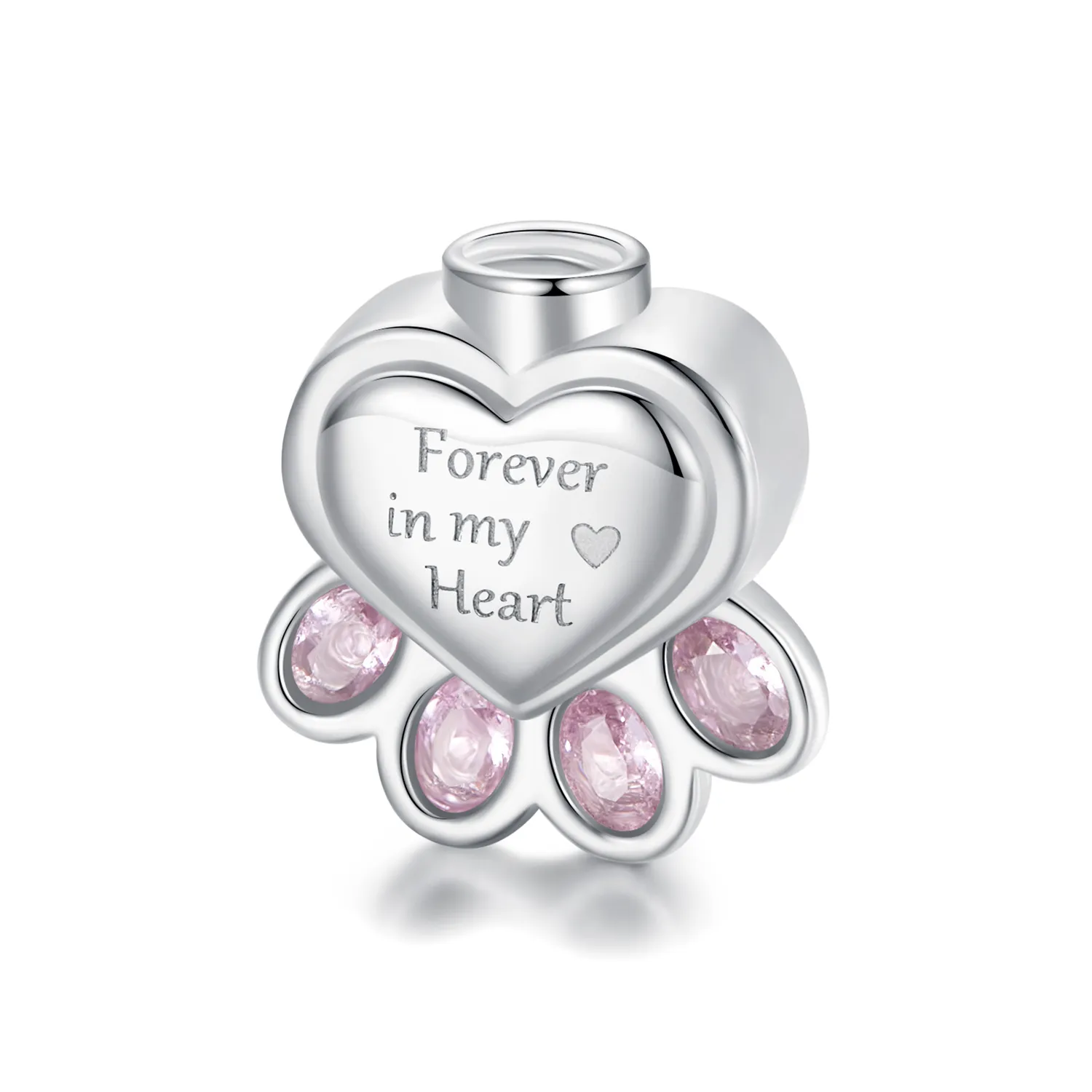 PANDORA Style Pet urn memorial box pendant - BSC1037