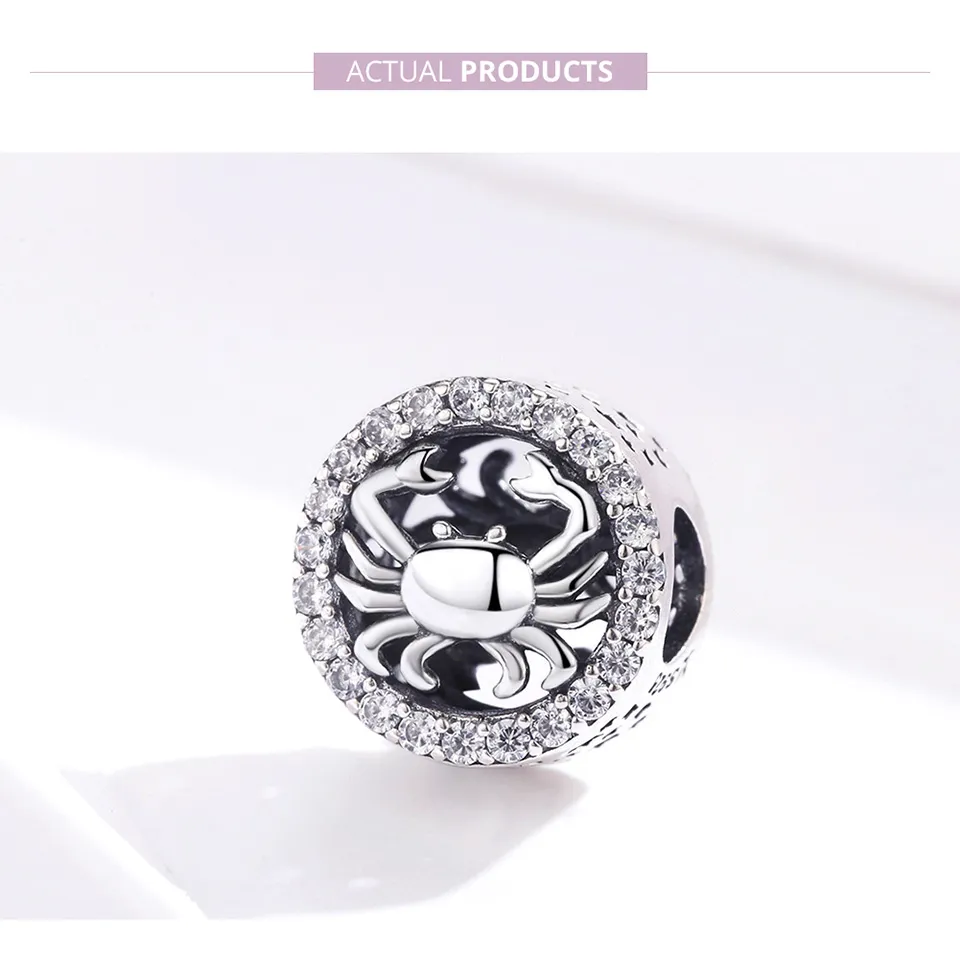 Silver Cancer Charm - PANDORA Style - SCC1213