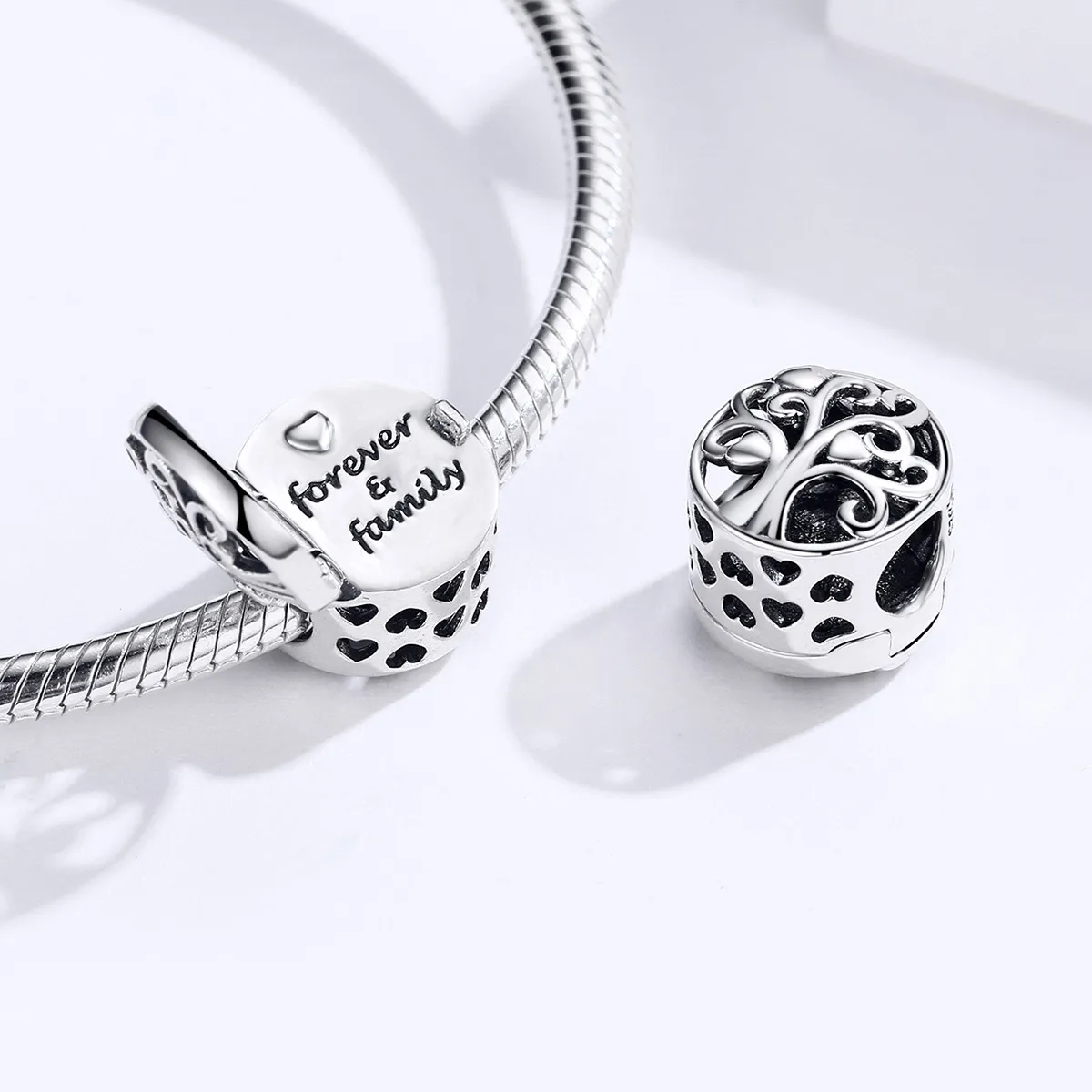 Silver Forever & Family Charm - PANDORA Style - SCC1259